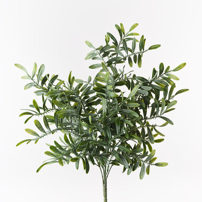 Acacia Leaf Bush Grey Green 53cm Pack of 12