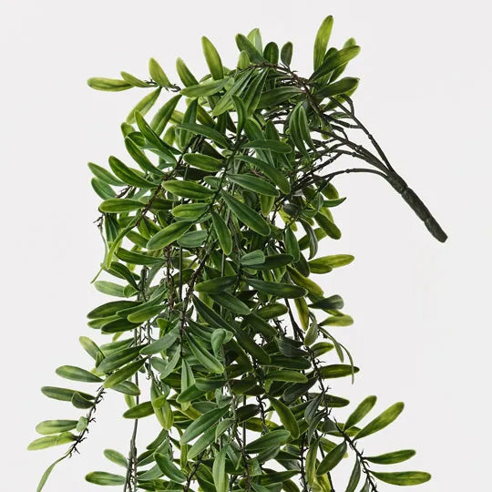 Acacia Leaf Hanging Bush Green 76cm Pack of 6