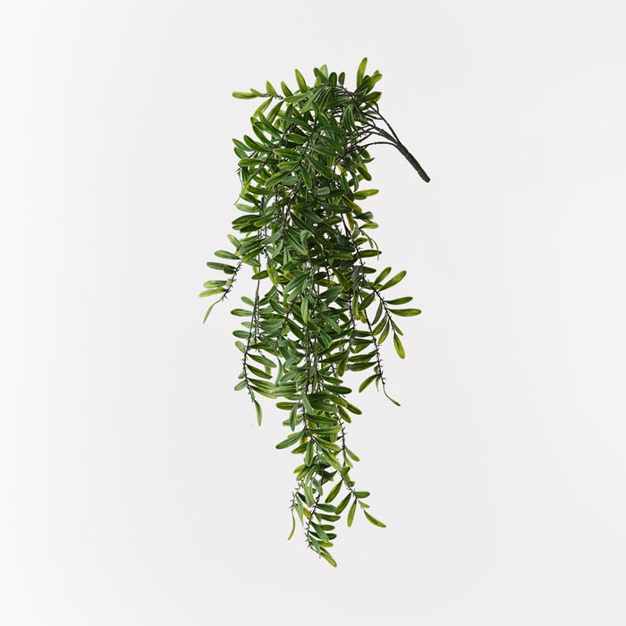 Acacia Leaf Hanging Bush Green 76cm Pack of 6