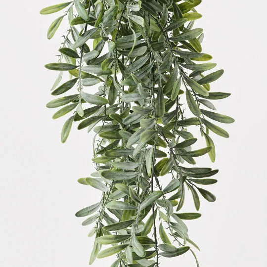 Acacia Leaf Hanging Bush Grey Green 76cm Pack of 6