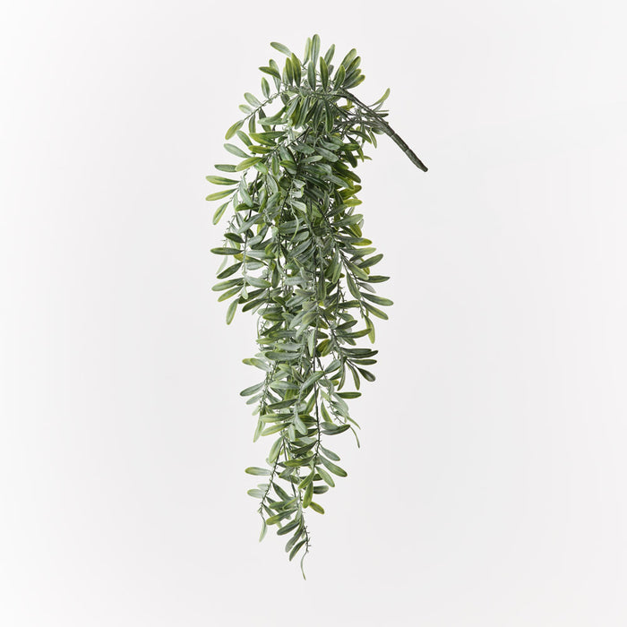 Acacia Leaf Hanging Bush Grey Green 76cm Pack of 6