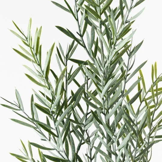 Acacia Leaf Spray Green Grey 79cm Set of 12