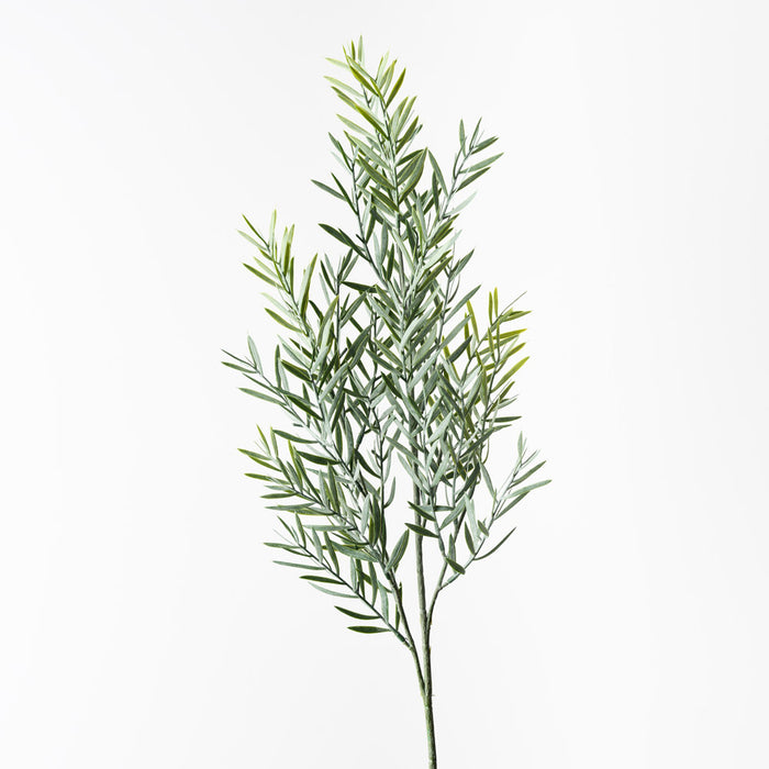 Acacia Leaf Spray Green Grey 79cm Set of 12