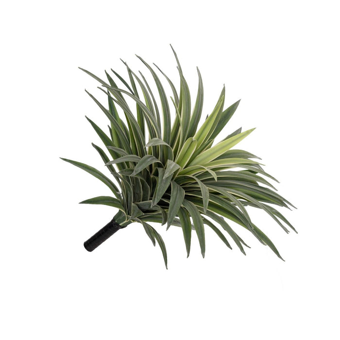 Agave Bush 40cm Real Touch Pack of 6