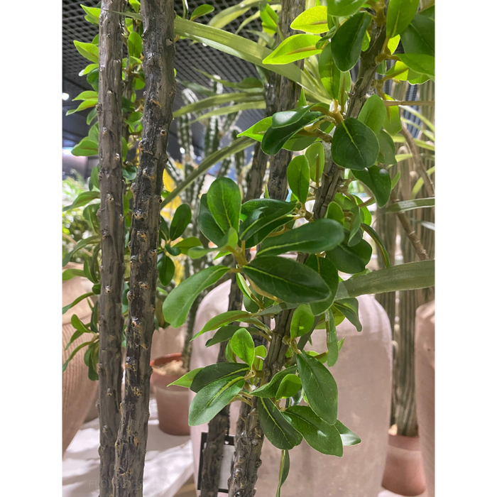 Alhagi Tree Green 183cm Pack of 2