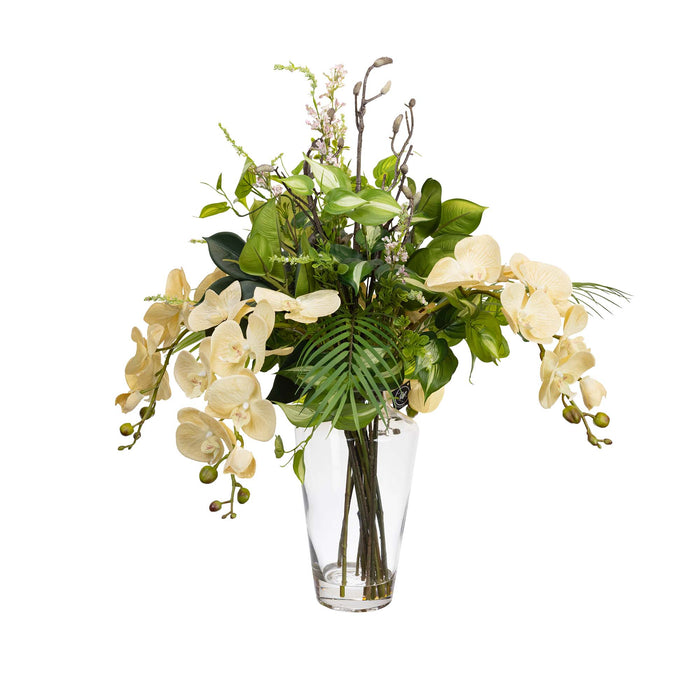 All Round Orchid Arrangement 76cm