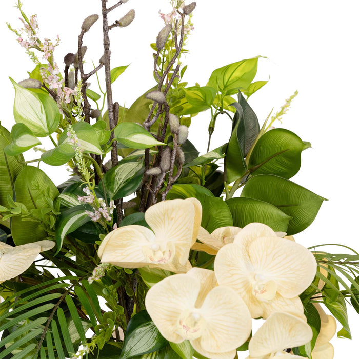 All Round Orchid Arrangement 76cm