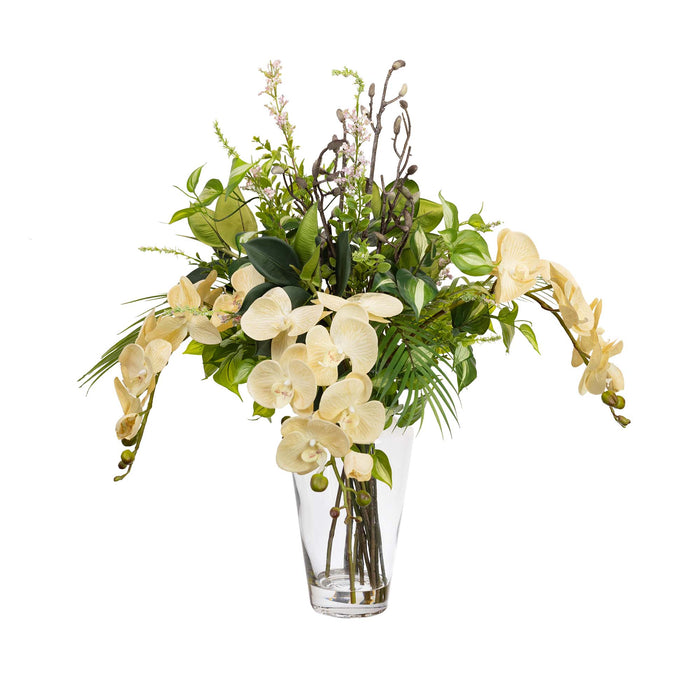 All Round Orchid Arrangement 76cm