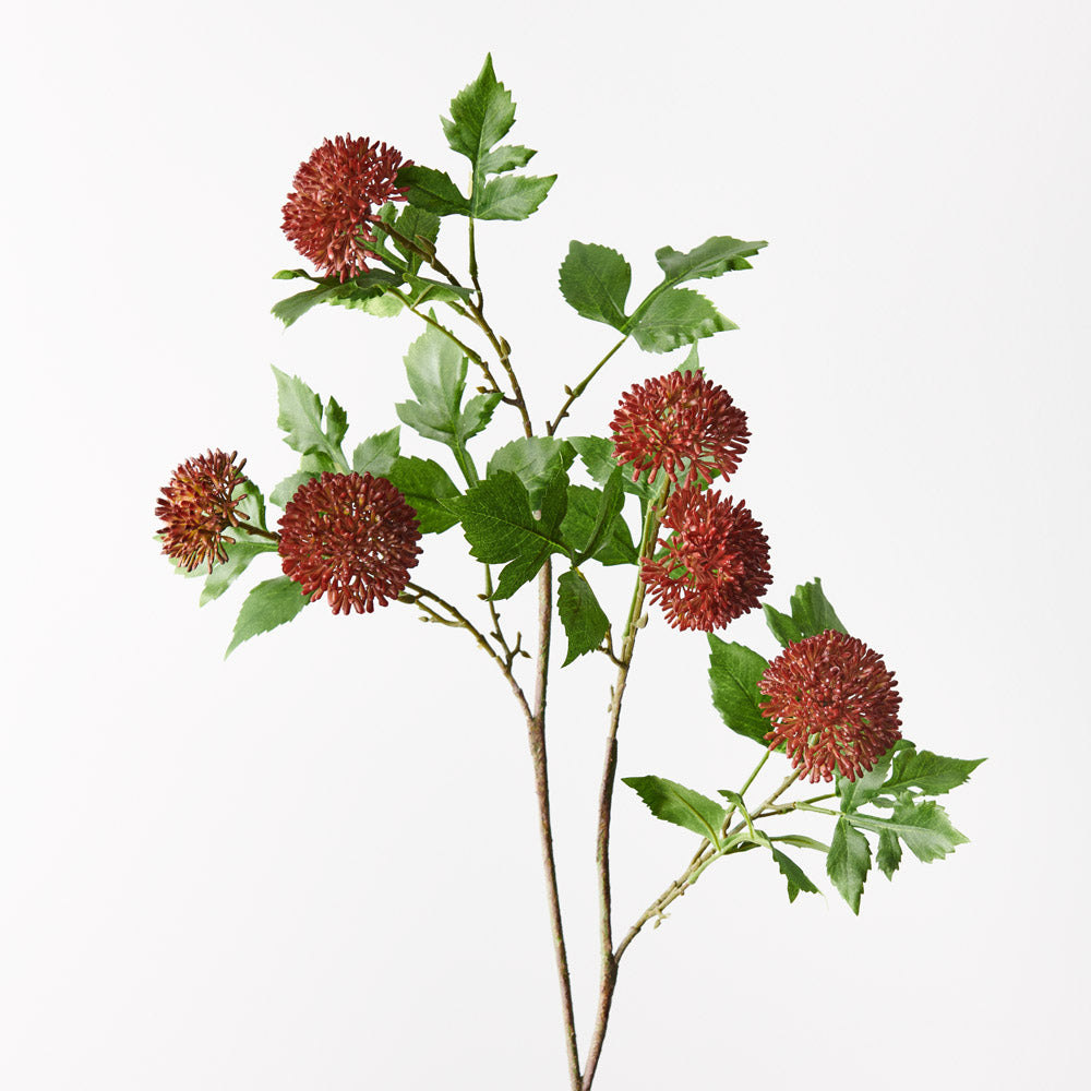 Allium Spray Rust 89cm - Pack of 12 — Flora Designs Australia