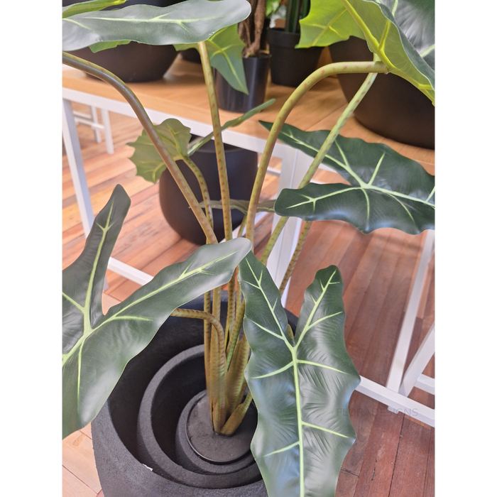 Alocasia Plant Green 120cm - Pack of 2