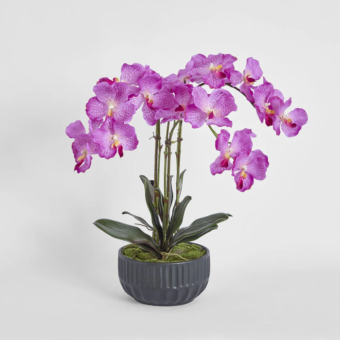 Amira Arrangement 65cm Purple in Black Pot