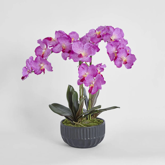Amira Arrangement 65cm Purple in Black Pot