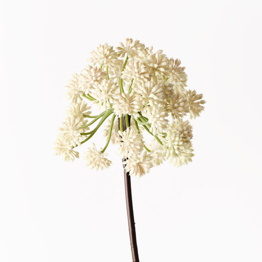 Angelica White Pink 98cm - Pack of 6