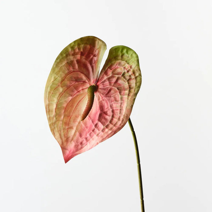 Anthurium Spray 47cm Rust Green - Pack of 12