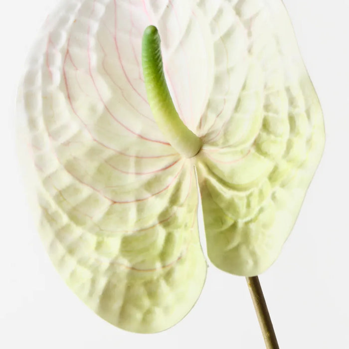 Anthurium Spray 47cm White Green - Pack of 12