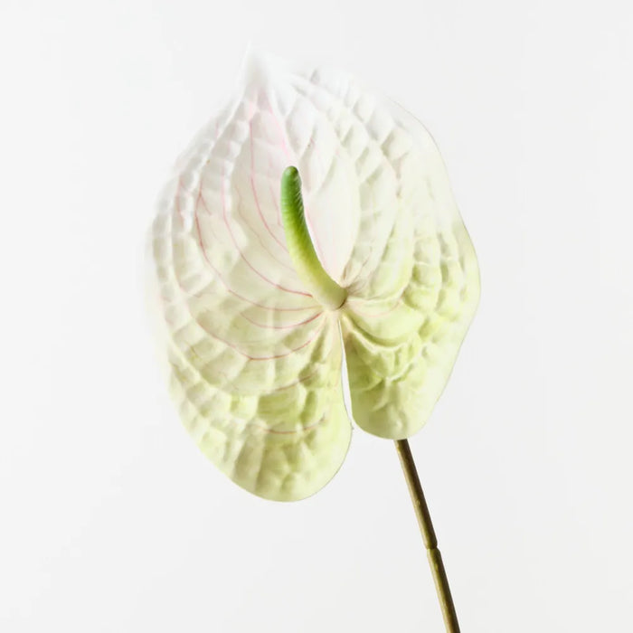 Anthurium Spray 47cm White Green - Pack of 12
