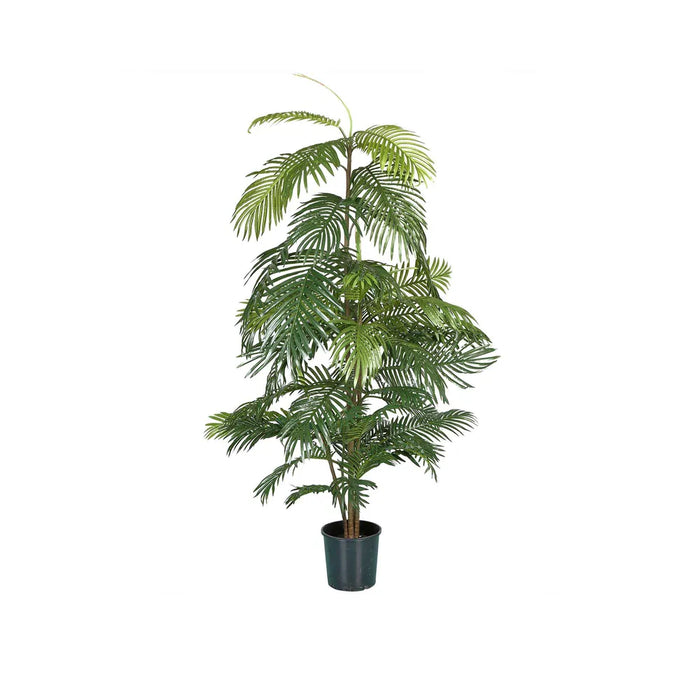 Areca Full Palm Tree Potted Green 180cm