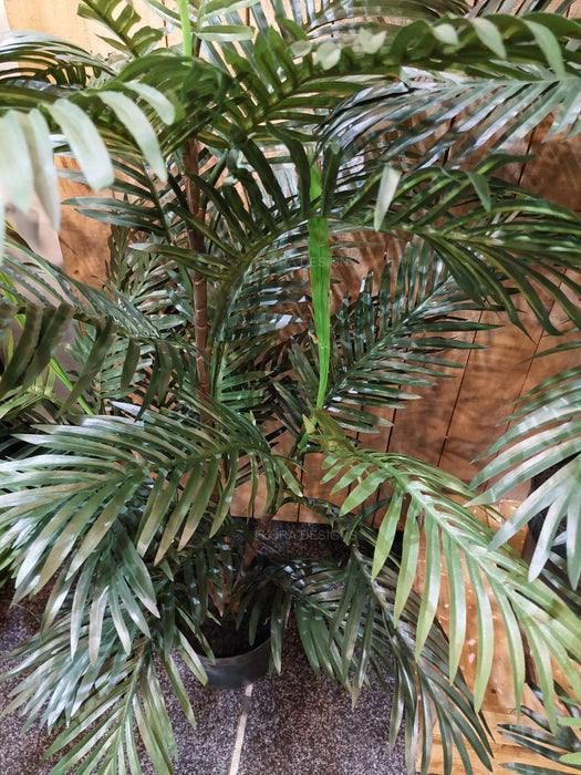 Areca Palm Tree 150cm