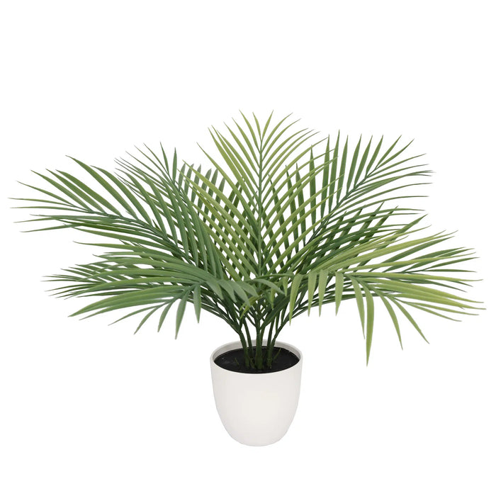 Areca Palm Tree UV Resistant 50cm Green Pack of 2