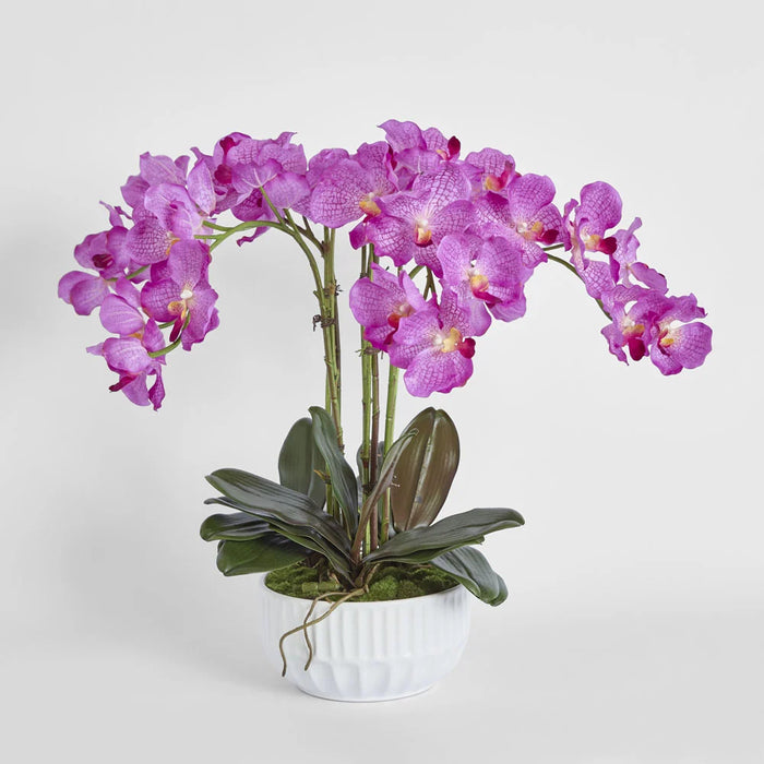 Arianne Arrangement 65cm Purple in White Pot