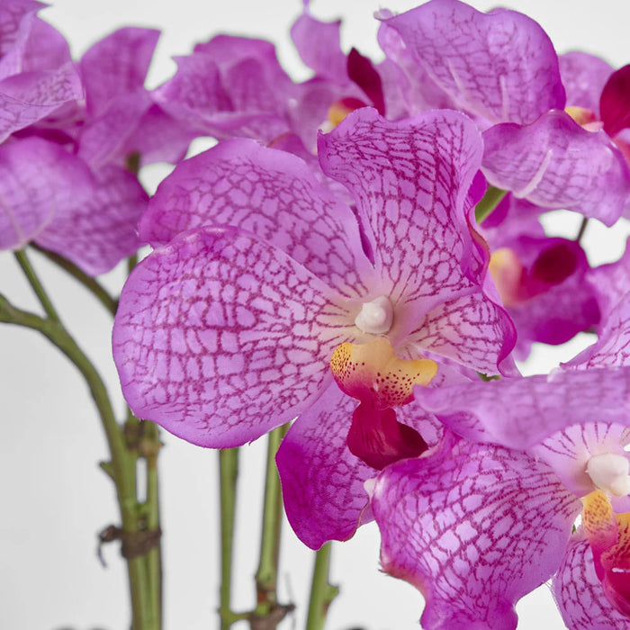 Arianne Arrangement 65cm Purple in White Pot