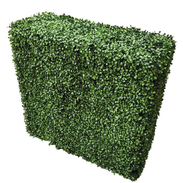 Boxwood Hedge X 100cm - FLORA DESIGNS