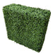 Boxwood Hedge X 100cm - FLORA DESIGNS