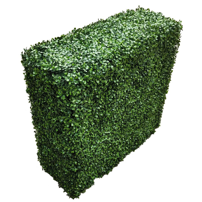 Boxwood Hedge X 100cm - FLORA DESIGNS
