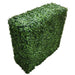 Boxwood Hedge X 100cm - FLORA DESIGNS