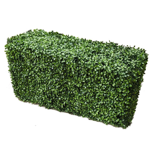 Boxwood Hedge X 100cmx50cm - FLORA DESIGNS