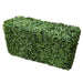 Boxwood Hedge X 100cmx50cm - FLORA DESIGNS