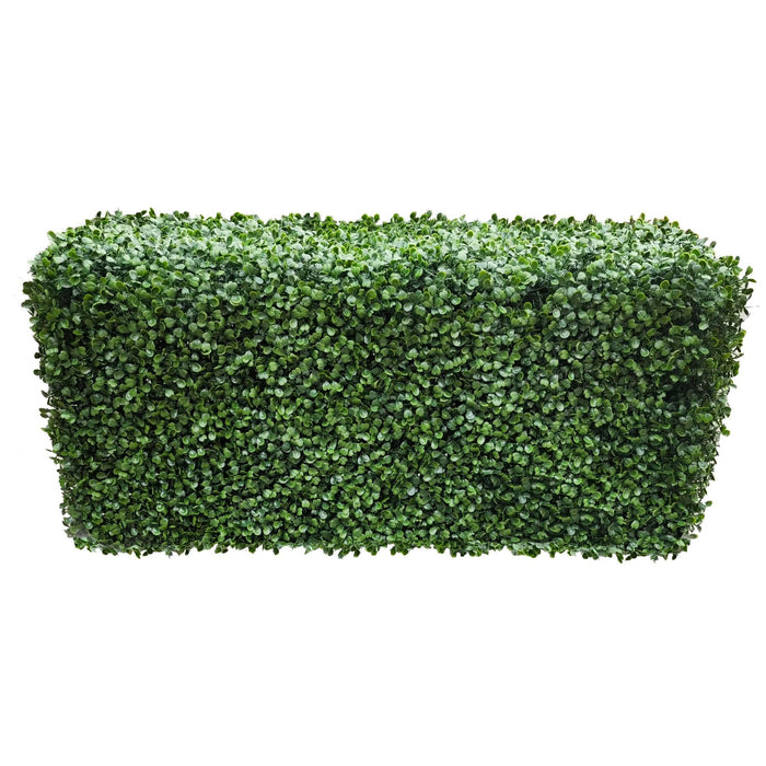 Boxwood Hedge X 100cmx50cm - FLORA DESIGNS