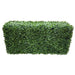 Boxwood Hedge X 100cmx50cm - FLORA DESIGNS