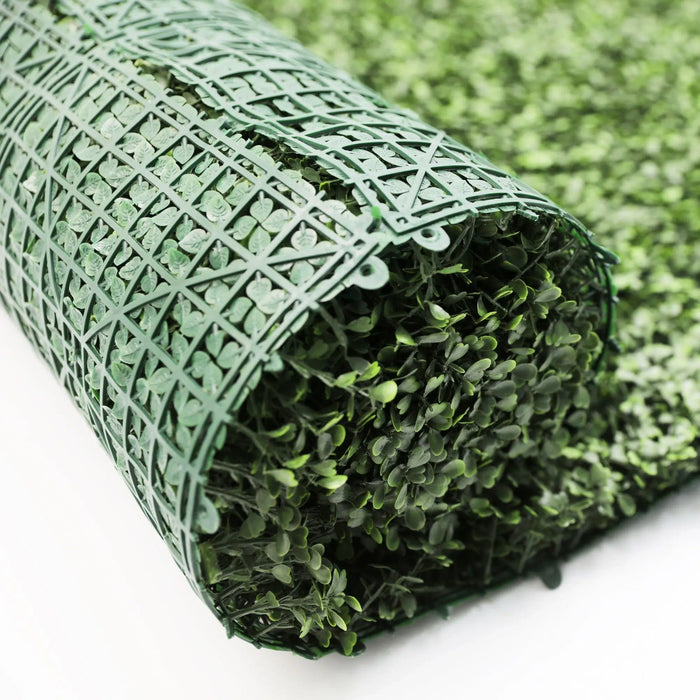 Artificial Boxwood Roll with Privacy Backing 3mx1m - FLORA DESIGNS