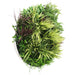 Slimline Artificial Green Wall Disc Art Grassy Fern 80cm - FLORA DESIGNS