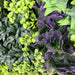 Lush Botanical Mosaic Artificial Vertical Garden Green Wall Panel 1mx1m - FLORA DESIGNS