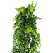 Artificial Hanging Rounded Buxus (Sempervirens) 78cm - FLORA DESIGNS