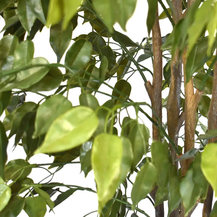 Artificial Ficus Tree UV Resistant 180cm