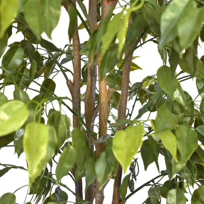 Artificial Ficus Tree UV Resistant 180cm