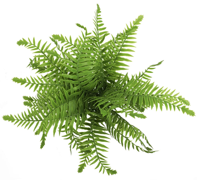 Artificial Lady Fern UV Resistant 40cm Set of 3
