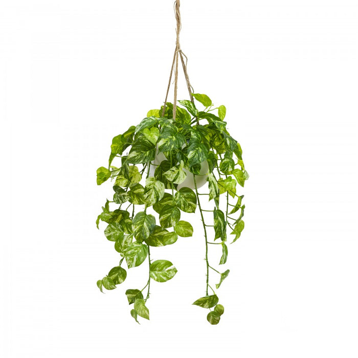 Marble Pothos In Hanging Planter 110cm Set of 2