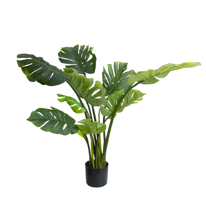 Monsteria Plant 120cm