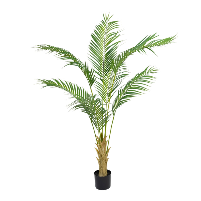 Palm Tree 180cm