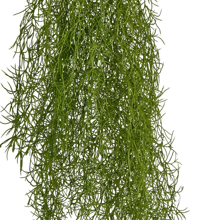 Asparagus Hanging Spray 138cm Green Pack of 12