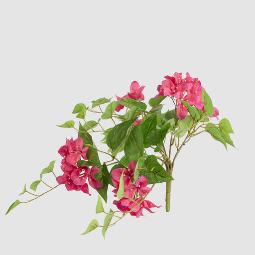 Artificial UV Trailing Bougainvillea Bush Fuchsia 50cm Fuchsia - FLORA DESIGNS