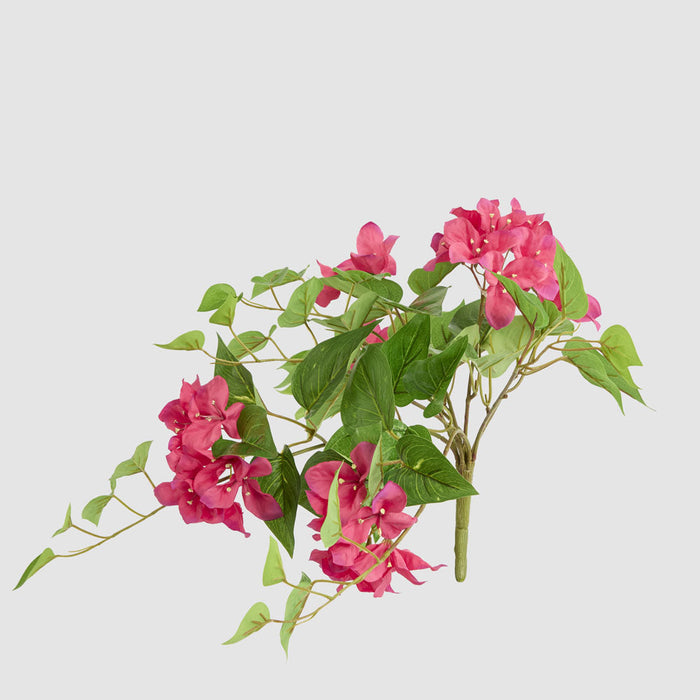 Artificial UV Trailing Bougainvillea Bush Fuchsia 50cm Fuchsia - FLORA DESIGNS