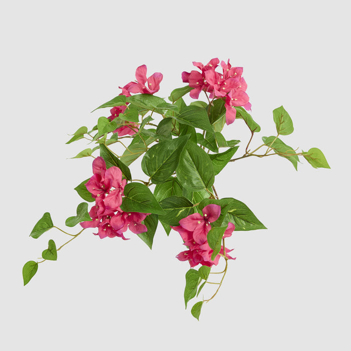 Artificial UV Trailing Bougainvillea Bush Fuchsia 50cm Fuchsia - FLORA DESIGNS