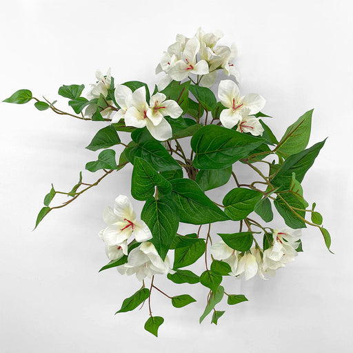 Artificial UV Trailing Bougainvillea Bush White 50cm White - FLORA DESIGNS