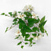 Artificial UV Trailing Bougainvillea Bush White 50cm White - FLORA DESIGNS