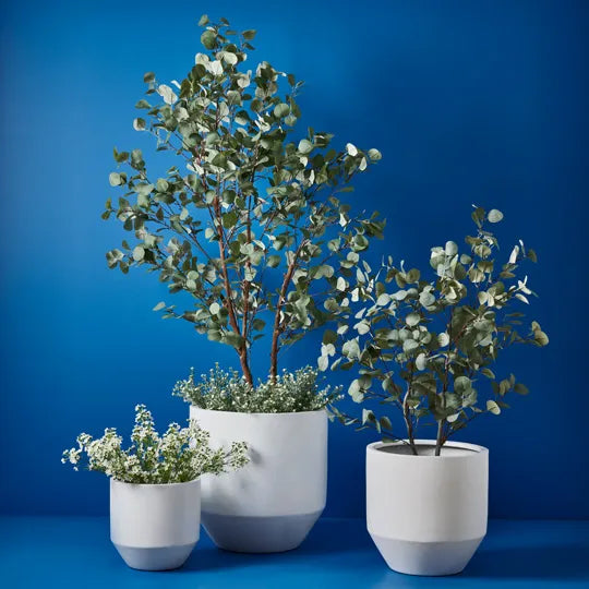 Babys Breath Bush White 36cm Pack of 12